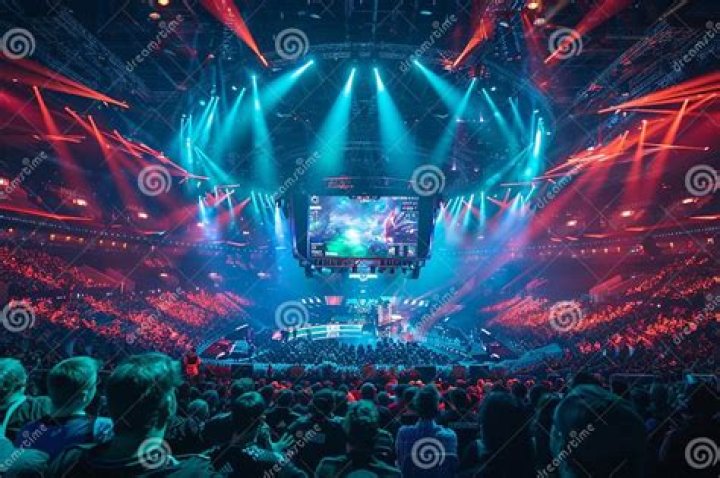 Esports Fans