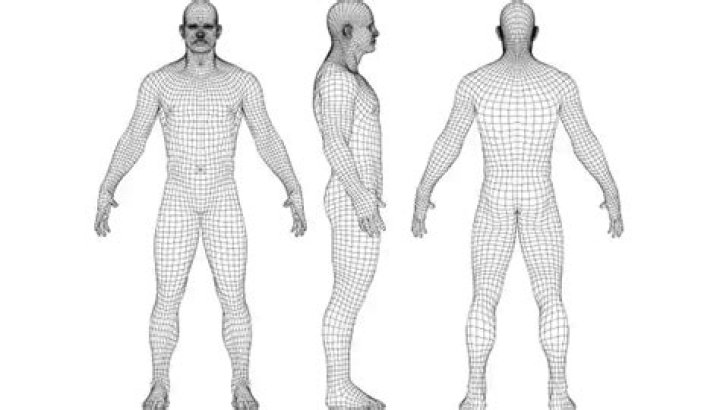 human