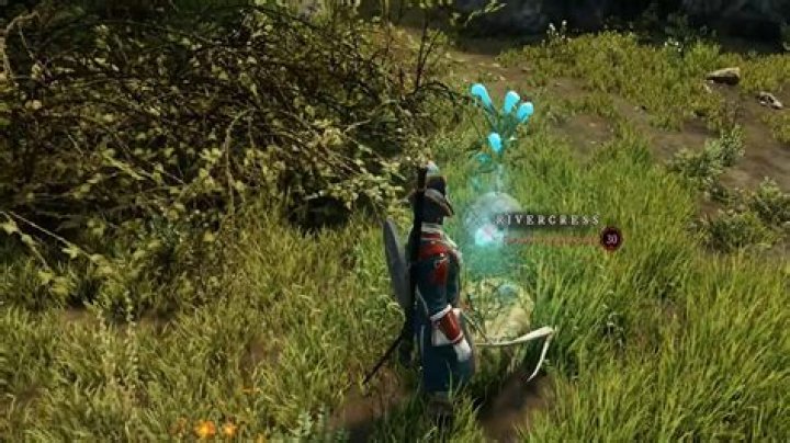 New World Weakness Ego Quest