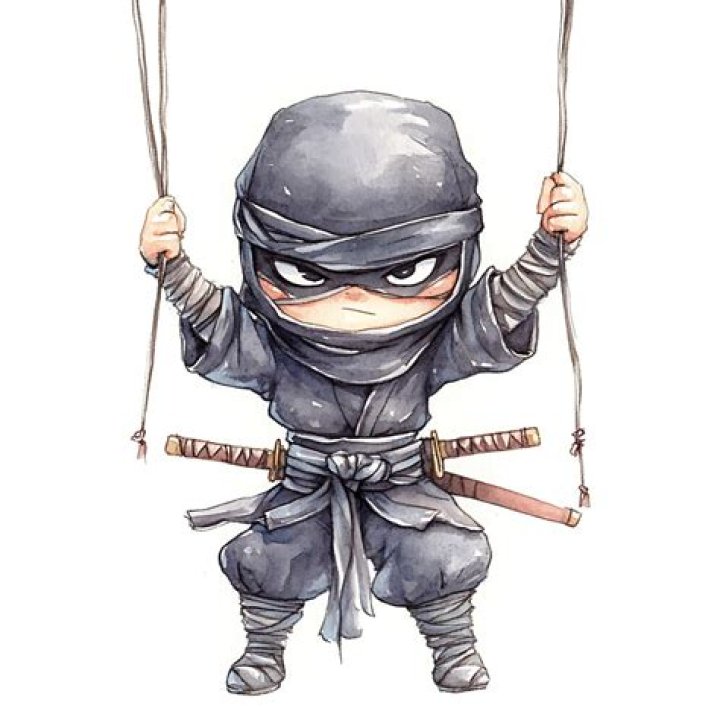 Ninja Swinging Into Our Hearts