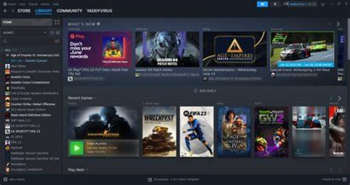 Steam