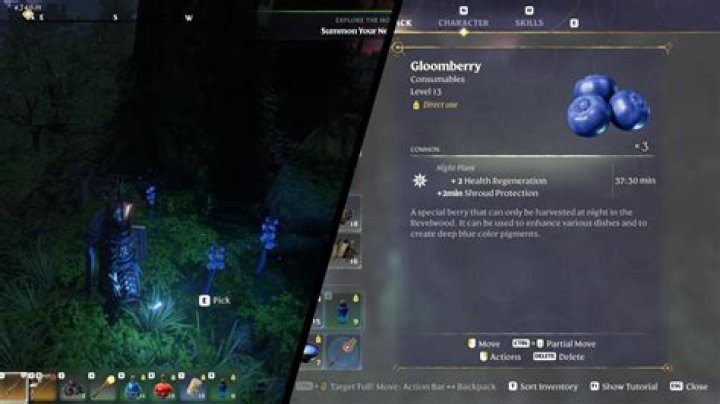 Valheim Guide - How to Get Berries